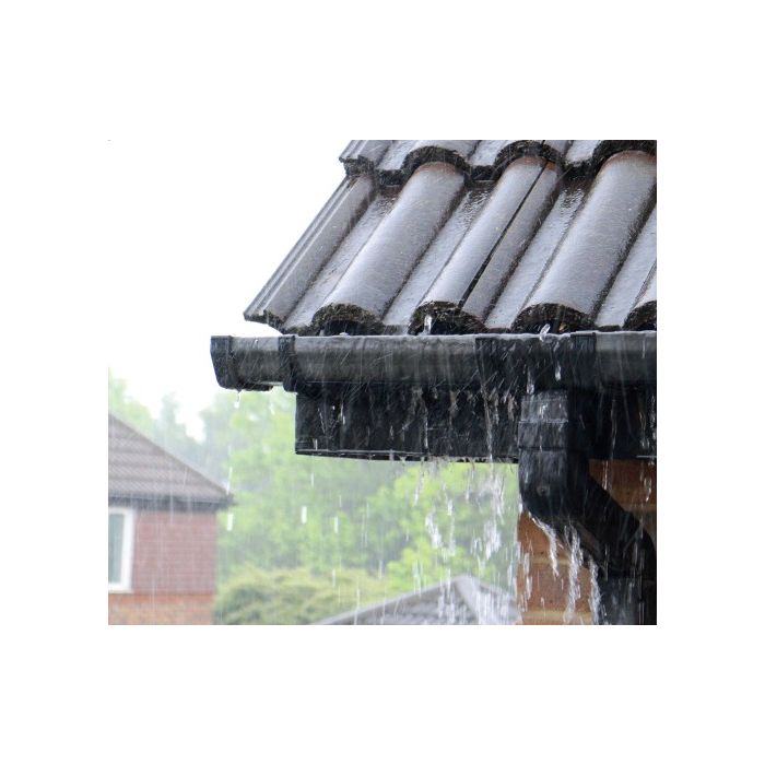 Sashco Lexel Sealants (Low Odor)