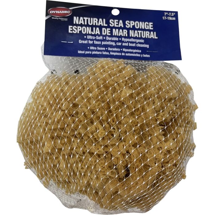 Dynamic 7"-7.5" (17-19cm) Natural Sea Sponge