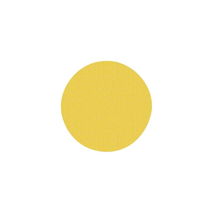 Norton 9" P100 WallSand Hook & Loop Paper Disc (15 per Pack)