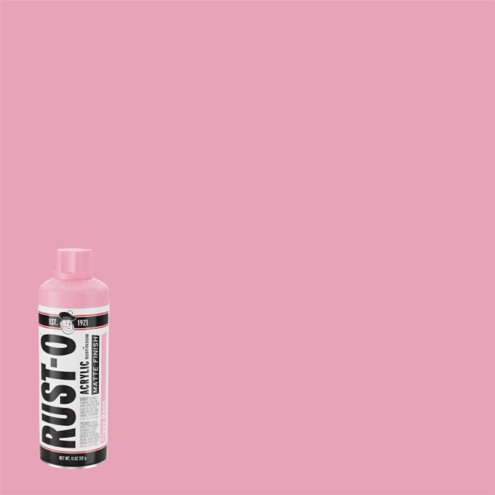 Rust-Oleum 11oz Rust-O Matte Artist Spray Paints