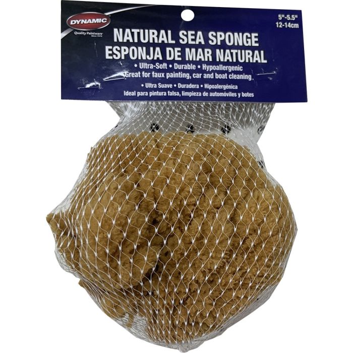 Dynamic 5"-5.5" (12-14cm) Natural Sea Sponge