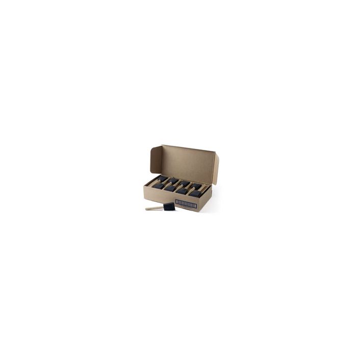Jen 2" Poly Foam Brush (Case of 48)