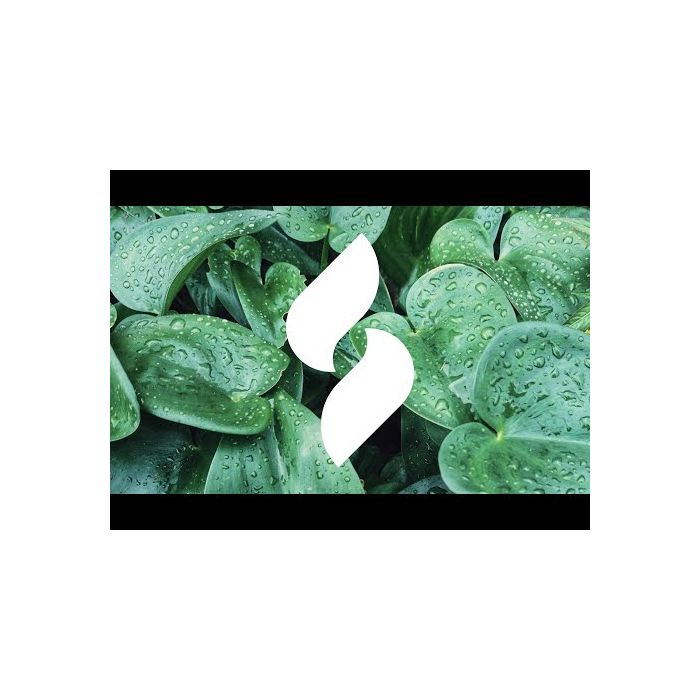 Paint Scentsations Odor Control Paint Additives