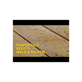 Cabot Wood-Toned Deck & Siding Stains (Low Odor)
