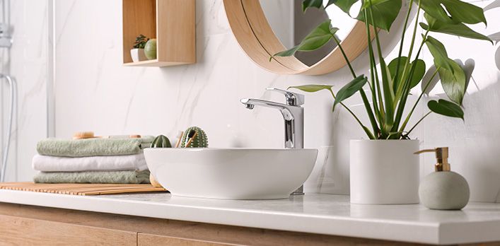 Mildewcide & Insecticide