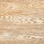 Bleaching category slider image