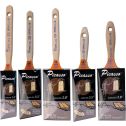 T4P Proform Picasso Brush Sampler