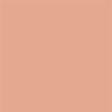 Rust-Oleum 11oz Rust-O Matte Sunstone Artist Spray Paint
