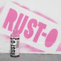Rust-Oleum 11oz Rust-O Matte Cactus Flower Artist Spray Paint