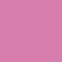 Rust-Oleum 11oz Rust-O Matte Cactus Flower Artist Spray Paint