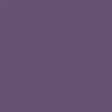 Rust-Oleum 11oz Rust-O Matte Grape Lollipop Artist Spray Paint