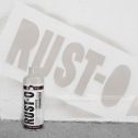 Rust-Oleum 11oz Rust-O Matte Duck Egg Artist Spray Paint