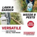 Chapin Polyethylene Lawn & Garden Hand Pump Sprayer