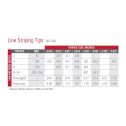 Titan 217 TR1 Line Striping Tip