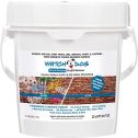 Dumond 1/2gal Wipe Out Graffiti Remover for Porous Surfaces