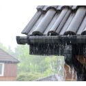 Sashco Lexel Sealants (High Performance)