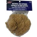 Dynamic 5"-5.5" (12-14cm) Natural Sea Sponge