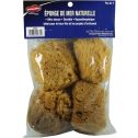 Dynamic 4" Natural Artist and Craft Sea Sponges (4pk)