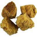 Dynamic 4" Natural Artist and Craft Sea Sponges (4pk)