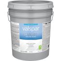 Valspar 5gal Flat Finish White Skylight Ceiling Paint