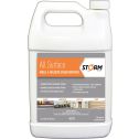 Storm 1gal System Mold & Mildew Stain Remover