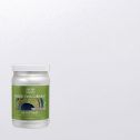 Modern Masters 30oz Snowflake Metallic Paint