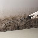 Concrobium 1gal Mold Control