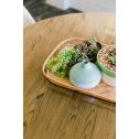 Famowood Clear Glaze Coat High Build Epoxy Coating Two Part Kit