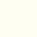 Gemini 1gal White Zero Rust Alkyd Primer