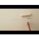 Rust-Oleum 1gal Soft Beige Eggshell SURE COLOR Interior Wall Paint