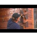 Gemini TWP Total Wood Preservative (High Performance)
