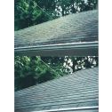 Zinsser Jomax House Cleaners
