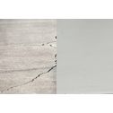 Penofin RenewAll Elastomeric Deck & Concrete Coatings