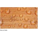 Penofin Gallon TMF Matte Architectural Hardwood Wood Finishes