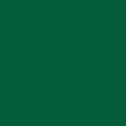 Rust-Oleum 12oz Gloss Meadow Green 2X Ultra Cover Painters Touch Spray Paint