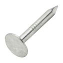 Grip-Rite Electrogalvanized Roofing Nails