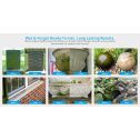 Wet & Forget Moss, Mildew, & Algae Stain Removers