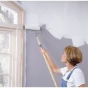 Zinsser Shieldz Universal Wallpaper Primers