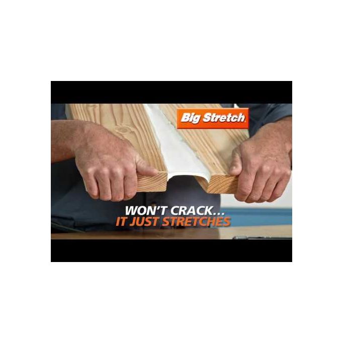 Sashco 10.5 oz. Big Stretch Caulks