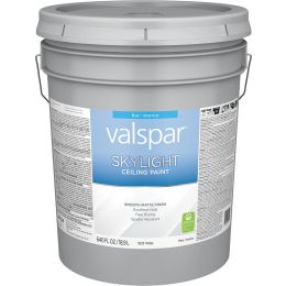Valspar 5gal Flat Finish White Skylight Ceiling Paint