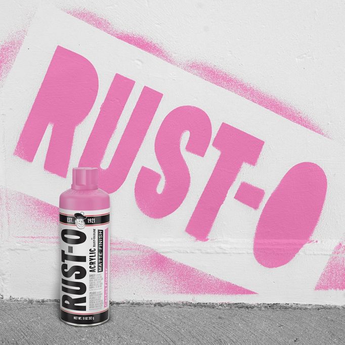 Rust-Oleum 11oz Rust-O Matte Cactus Flower Artist Spray Paint