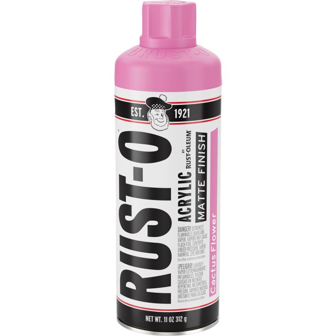 Rust-Oleum 11oz Rust-O Matte Cactus Flower Artist Spray Paint