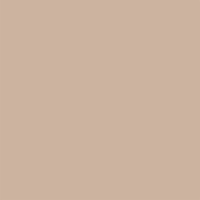 Rust-Oleum 11oz Rust-O Matte Treasure Map Artist Spray Paint