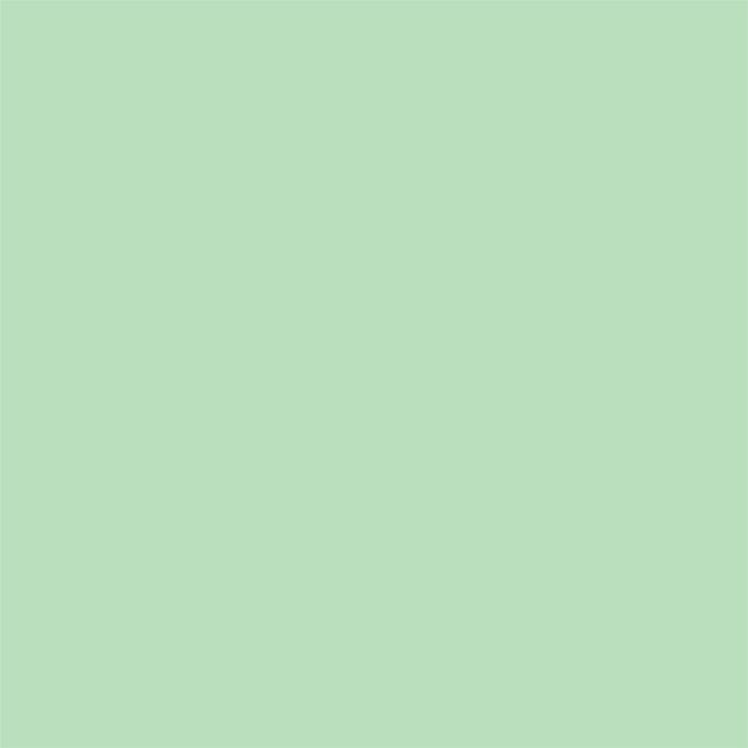 Rust-Oleum 11oz Rust-O Matte Hint Of Mint Artist Spray Paint