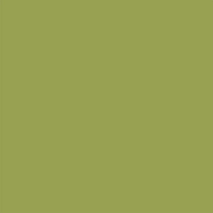 Rust-Oleum 11oz Rust-O Matte Grass Stain Artist Spray Paint