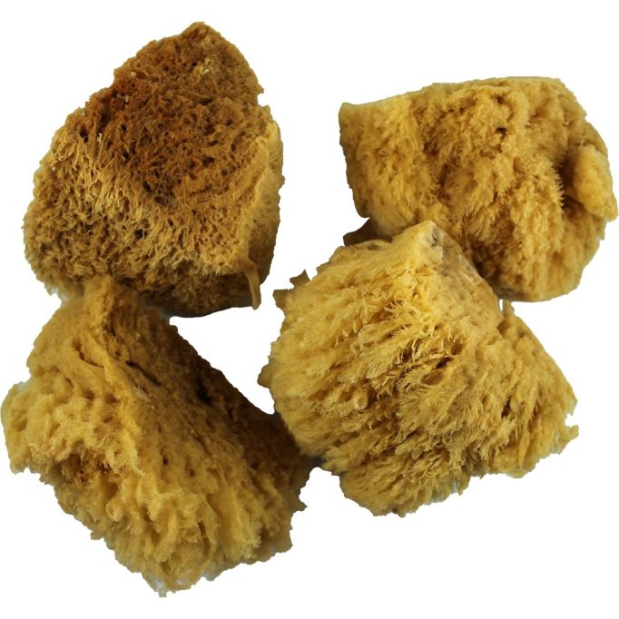 Dynamic 4" Natural Artist and Craft Sea Sponges (4pk)