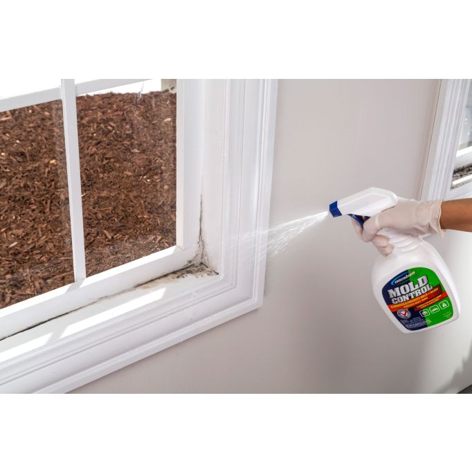 Concrobium Mold Control