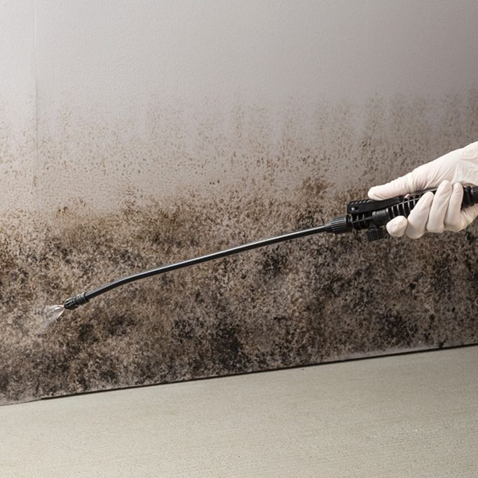 Concrobium 1gal Mold Control