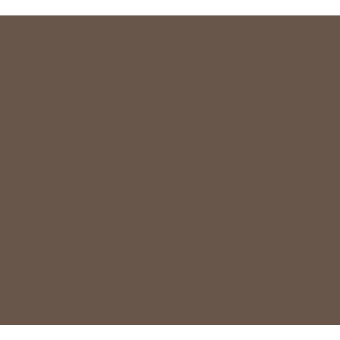 Cabot 1gal Cashmere Brown Heat-Reducing Solid Color Stain + Sealer w/Cool Feel Technology