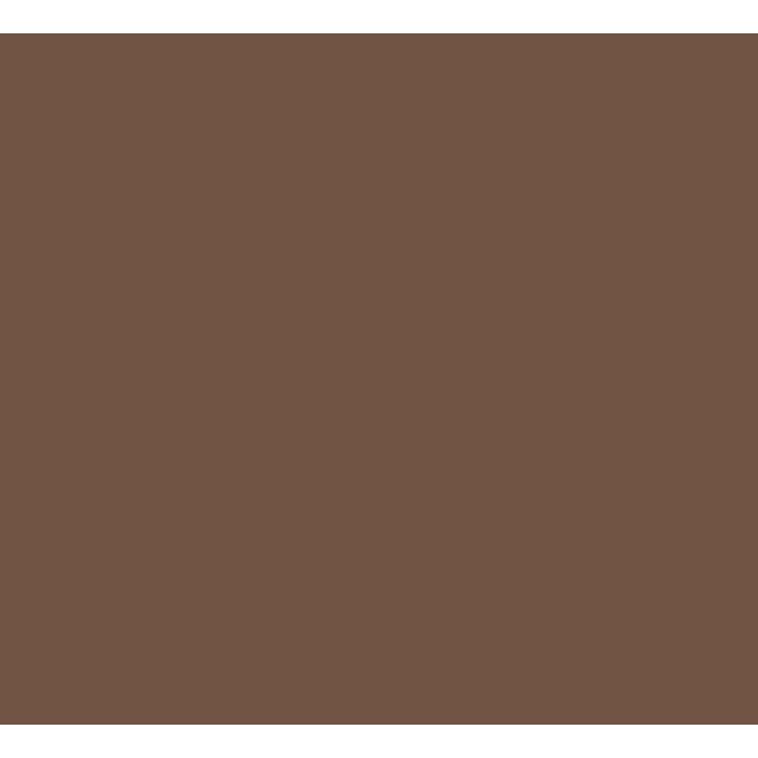 Cabot 1gal Equestrian Brown Heat-Reducing Solid Color Stain + Sealer w/Cool Feel Technology